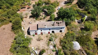 Expose Haus Anwesen bei Vodnjan! Großes Grundstück 7154 m2!!