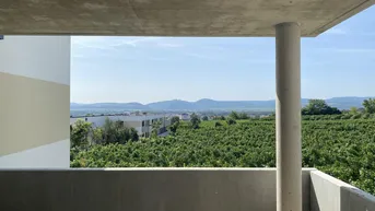 Expose Neubau Erstbezug Ruhige Drei Zimmer Wohnung mit Eigengarten und fabelhafter Aussicht