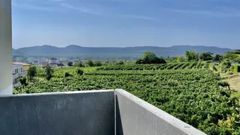 Expose Neubau Erstbezug Ruhige Drei Zimmer Wohnung mit Balkon und traumhaften Ausblick