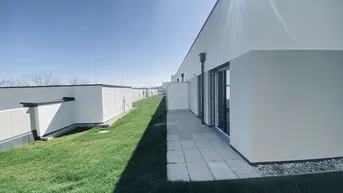 Moderne Gebäudefassade mit gepflasterter Terrasse und Rasenfläche unter blauem Himmel.