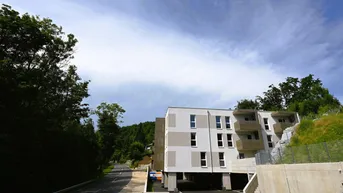 Expose Licht. Luft. Lebensqualität – 4-Zimmer-Wohnung mit zwei Balkonen in Altenberg