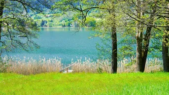 Expose Atemberaubende SEELIEGENSCHAFT in absoluter Ruhelage am Ossiacher See (Freizeitwohnsitz)
