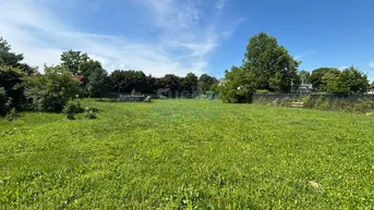 Weitläufige grüne Wiese mit Bäumen im Hintergrund unter einem klaren blauen Himmel.