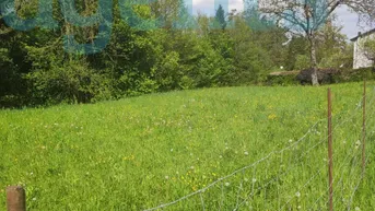 Expose Baugrund mit viel Potential