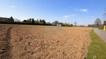 Weites, gepflügtes Feld unter blauem Himmel mit Häusern in der Ferne und einem Weg am Rand.