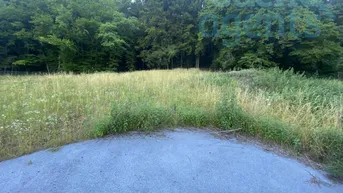 Naturbelassenes Grundstück mit einer weiten Wiese und dichtem Wald im Hintergrund.