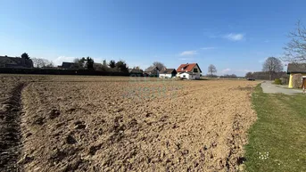 Großes Baugrundstück in ländlicher Umgebung mit Blick auf umliegende Häuser und weite Felder unter blauem Himmel.