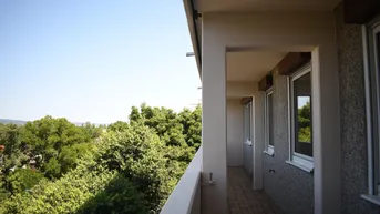 Expose Moderne 4-Zimmer-Wohnung mit Loggia in Wiener Neudorf – Familienhit