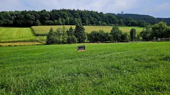 Expose Kein Bauzwang: Großzügige Baugrundstücke in schöner Lage