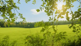 Expose Naturliebhaber aufgepasst: 3 Baugrundstücke in Ruhelage