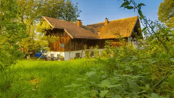 Expose Naturliebhaber aufgepasst: Großes Grundstück mit Altbestand in Ruhelage
