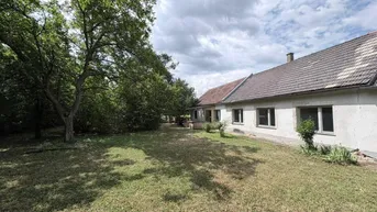 Ländlicher Gartenbereich mit Rasenfläche und altem Baumbestand neben dem Haus.