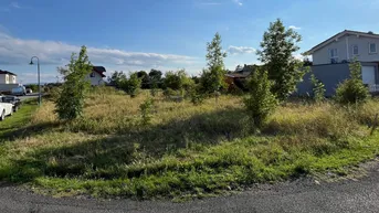 Expose Baugrundstück in Saubersdorf