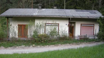 Expose Schönes kleineres Haus in sehr ruhiger traumhafter Waldrandlage
