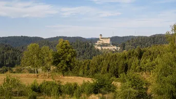 Malerische Landschaft mit grünen Hügeln, Wäldern und einer historischen Burg in der Ferne.