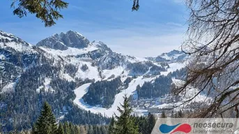 Expose Die JAHRHUNDERT-GELEGENHEIT Hotelgesellschaft am Nassfeld!