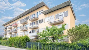 Expose Charmante Stadtwohnung mit Terrasse und Gartenanteil!