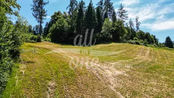 Expose Sonniges Baugrundstück in Moosburg - Ruhige Lage am Waldrand (Nr.2)