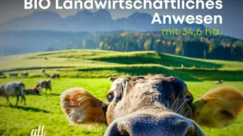 Expose AUTARK LEBEN - Exklusive BIO-Landwirtschaft in absoluter Ruhelage im Bezirk St Veit/Glan