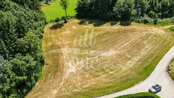 Expose Sonniges Baugrundstück in Moosburg - Ruhige Lage am Waldrand