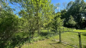 Expose Ruhig gelegenes Baugrundstück in Laab im Walde – Stadtnähe trifft Naturidylle