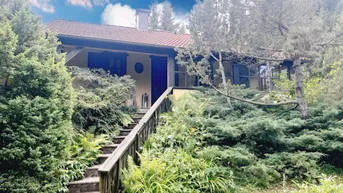 Expose Ihr Rückzugsort im Grünen - Charmantes Haus auf 1.700 m2 Naturparadies direkt auf der Hohen Wand-Maiersdorf