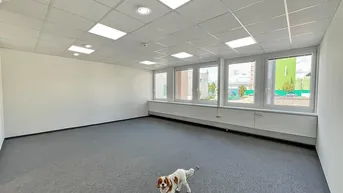 Expose OLIVIA, Ihre ideale Büro-Lager Kombination in Inzersdorf