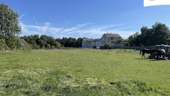 Expose Gols | Baugrundstück in Top-Lage | 5.000 m²
