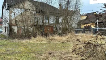 Altes, renovierungsbedürftiges Gebäude mit verwildertem Grundstück und Bäumen im Vordergrund.