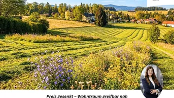 Weitläufige Landschaft mit grünen Feldern, blühenden Blumen und Häusern in der Ferne unter blauem Himmel.