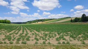 Expose Landwirtschaftliche Fläche in Himberg – 39.330 m². Kaufpreis auf Anfrage!