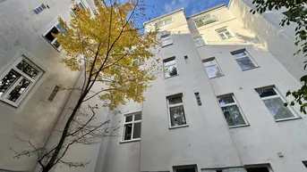 Blick in den Innenhof des Gebäudes mit einem Baum mit herbstlichem Laub und vielen Fenstern.