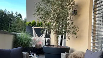 Geräumiger Balkon mit bequemen Outdoor-Möbeln, einem Olivenbaum und einer Hängematte.