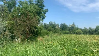 Expose Gewerbegrundstück in Toplage an der B69 – Bad Radkersburg | 3.700 m²