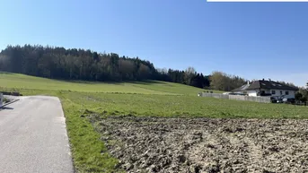 Weitläufige grüne Felder mit Waldrand und einem Haus in der Ferne unter blauem Himmel.