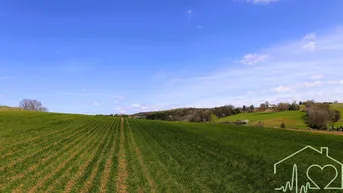 Expose Bauen Sie Ihr Traumhaus in Olbendorf/Burgenland - Grundstück in Ruhelage mit Panoramablick zum Kauf!