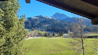 Panoramablick von einem Balkon auf grüne Wiesen und die umliegende Berglandschaft.
