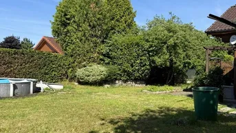 Weitläufiger Gartenbereich mit Rasen, hohen Bäumen und einer dichten Hecke im Hintergrund.