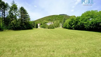 Weitläufige grüne Wiese mit Häusern und bewaldeten Hügeln im Hintergrund unter blauem Himmel.