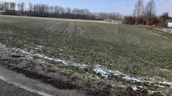 Expose Traumhaftes Baugrundstück in Utzenlaa - 969m²