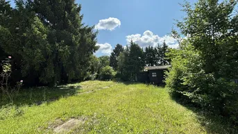 Expose Baugrundstück mit Altbestand am Wolfersberg! Ruhige Lage im Grünen mit perfekter Anbindung!