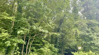 Expose BAUGRUNDSTÜCK MIT SONNIGEM FERNBLICK