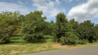 Expose ***DAS PARADIES WARTET AUF SIE! IN ALTSCHLAINING***