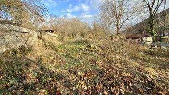 Expose Baugrundstück am Sonnenhang der Hinterbrühl
