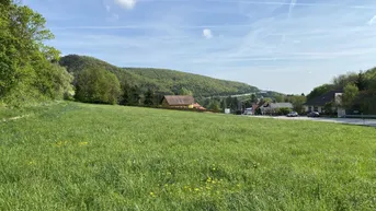 Expose Großes Grundstück 4.267m² in Weissenbach/Hinterbrühl mit vielen Möglichkeiten!