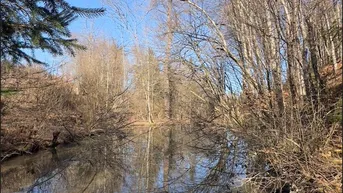 Expose Idyllische Teichanlage mit 1 ha Eigengrund am Rande von Klagenfurt