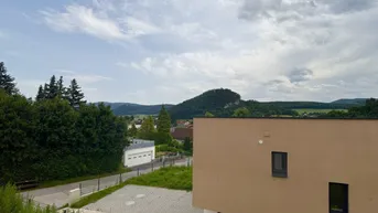 Expose Haus 2 - Modernes Doppelhaus in Ruhelage mit Südterrasse und Garten!