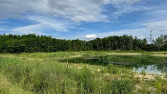 Expose In Répcelak steht ein 20.904 m2 großes Grundstück mit einem 7.000 m2 großen See zum Verkauf oder zur Miete