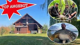 Expose Im Wohnpark in Hövej ein Ferienhaus/Wohnhaus am Teich, in einer wunderschönen Umgebung zu Verkauf