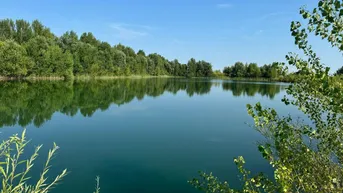 Expose 12 Kilometer von Kapuvár entfernt stehen 2 Stk Teichen mit ausgezeichneter Wasserqualität zum Verkauf